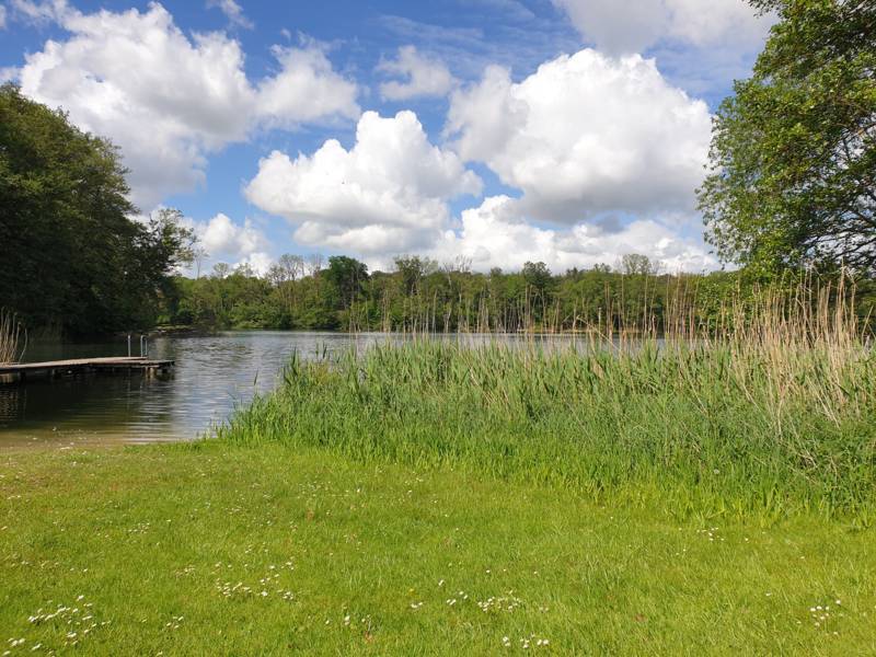 20220522_145027 __k.jpg